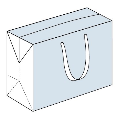 Bagbox con stampa quadricromia su 2 facciate 42 x 12 x 32 cm